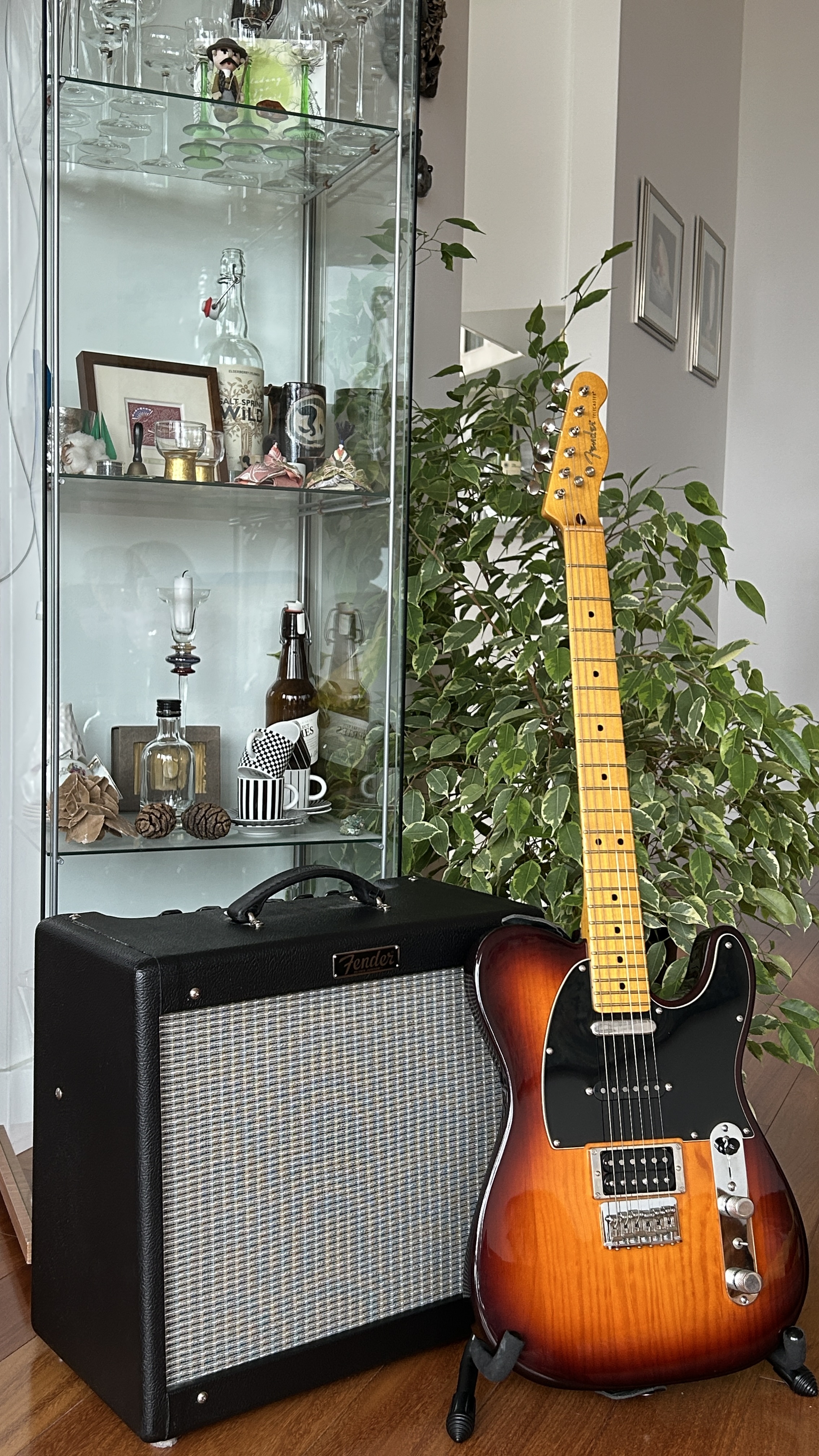 Modern Player Telecaster Plus