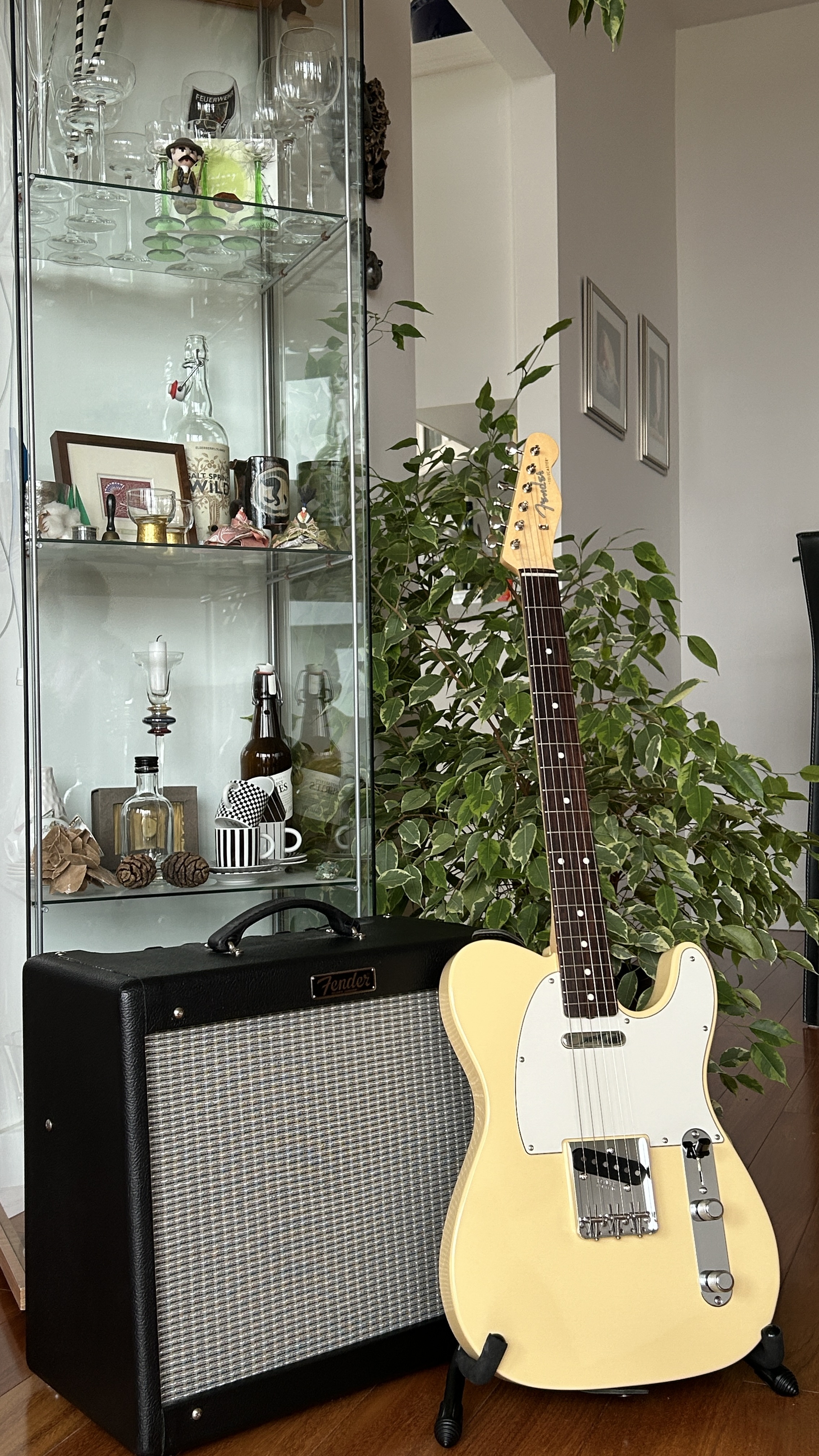 Traditional 60s Telecaster